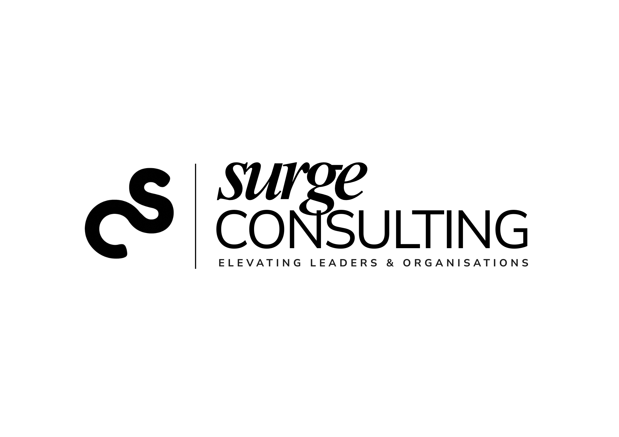 Surge Consulting